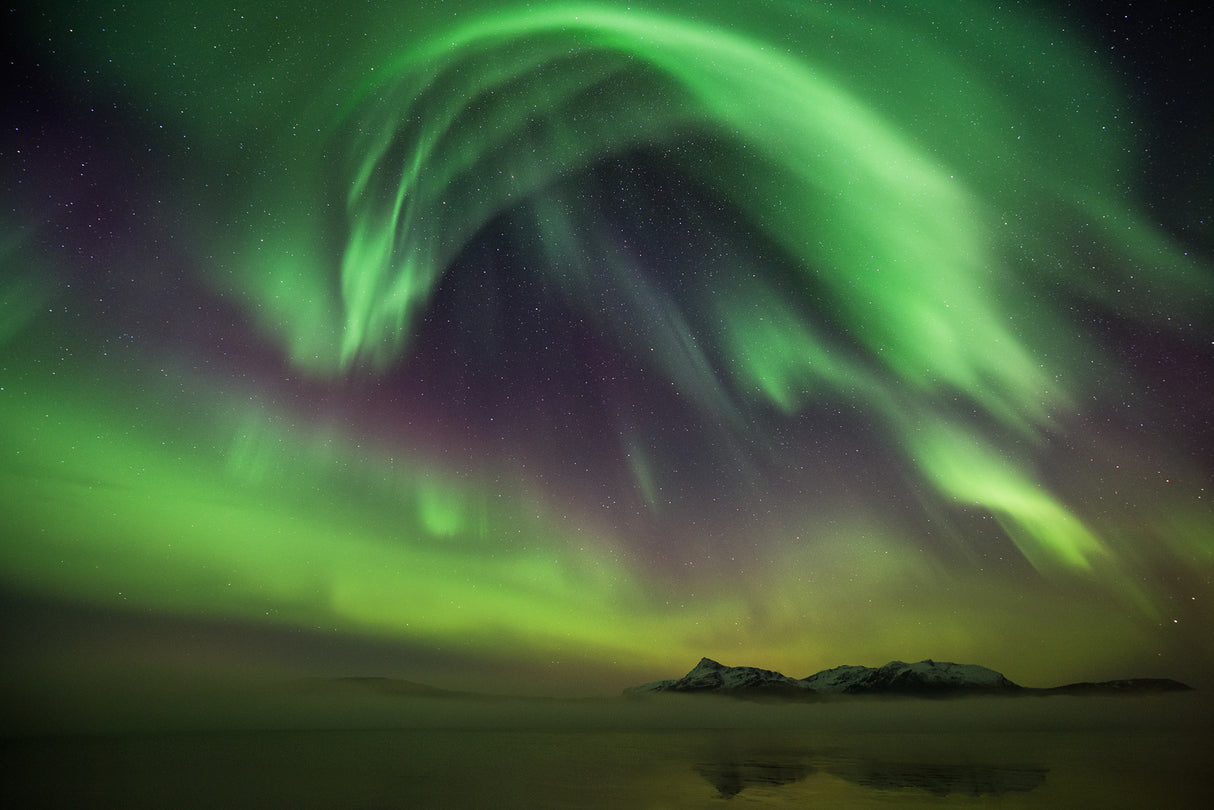 northern spirits Poster och Canvastavla