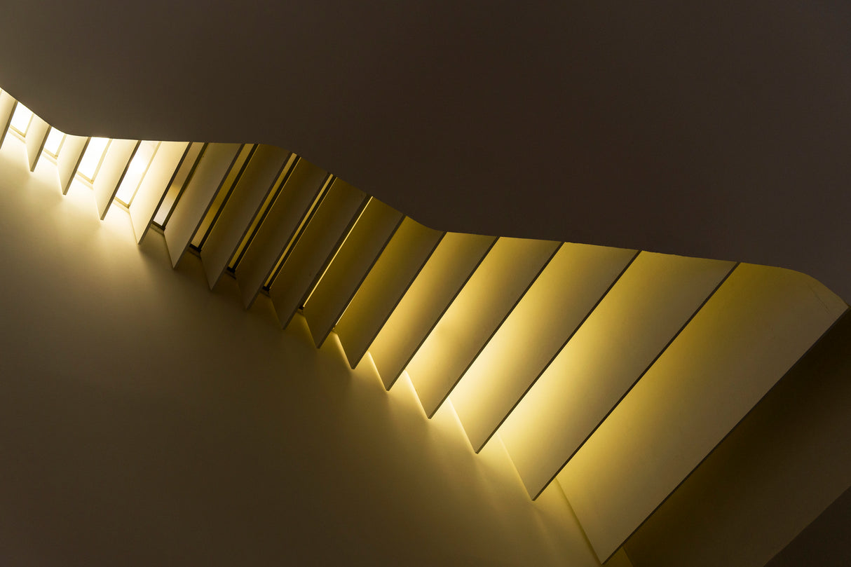 The Way the Light Falls Poster och Canvastavla