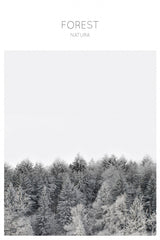 Forest Photography Poster och Canvastavla