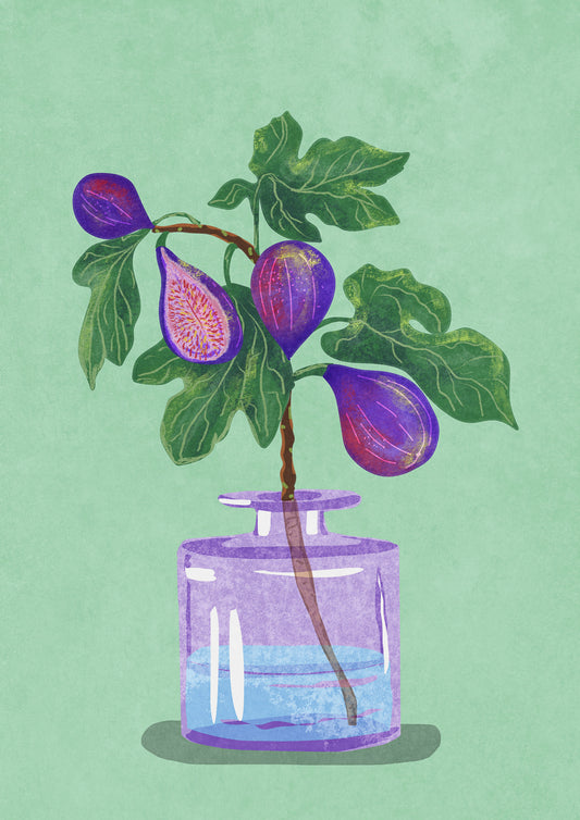 Figs Branch In Vase Poster och Canvastavla