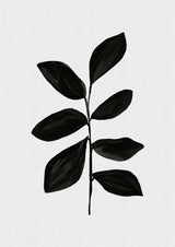 Botanical I Poster och Canvastavla