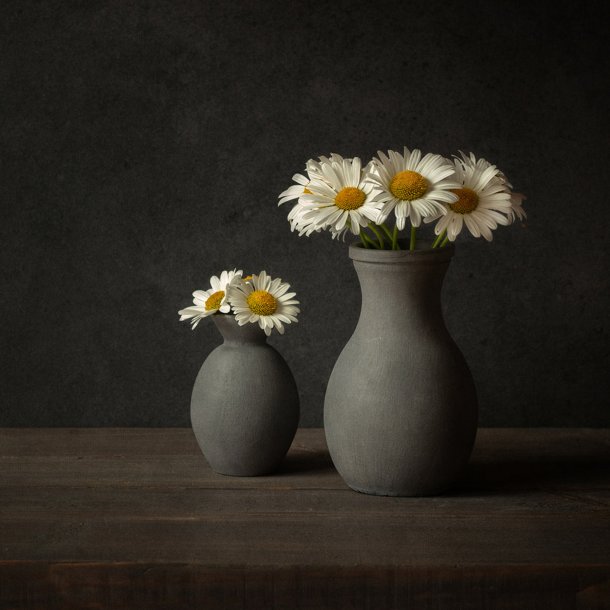 Daisies Poster och Canvastavla