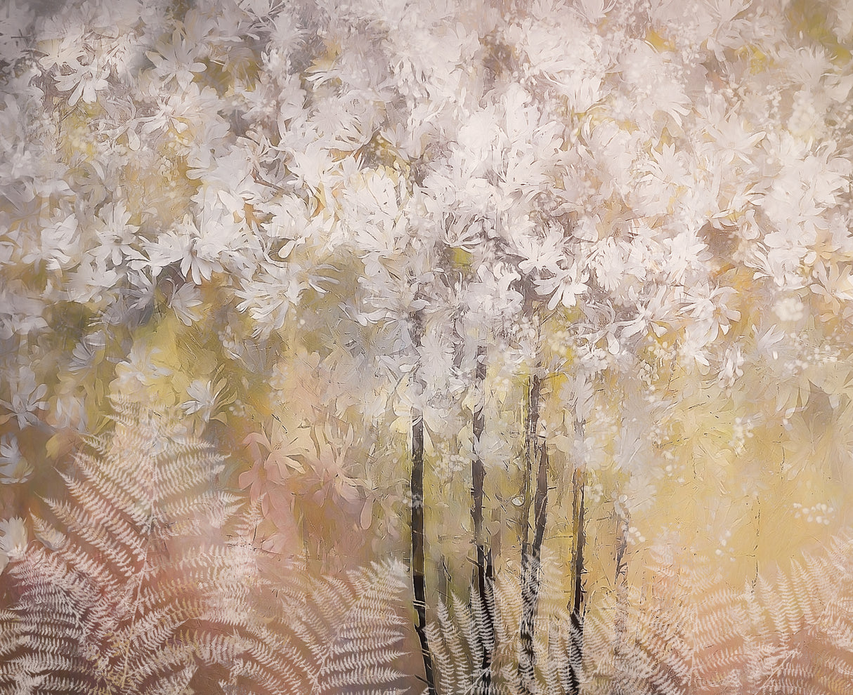 Spring feeling Poster och Canvastavla