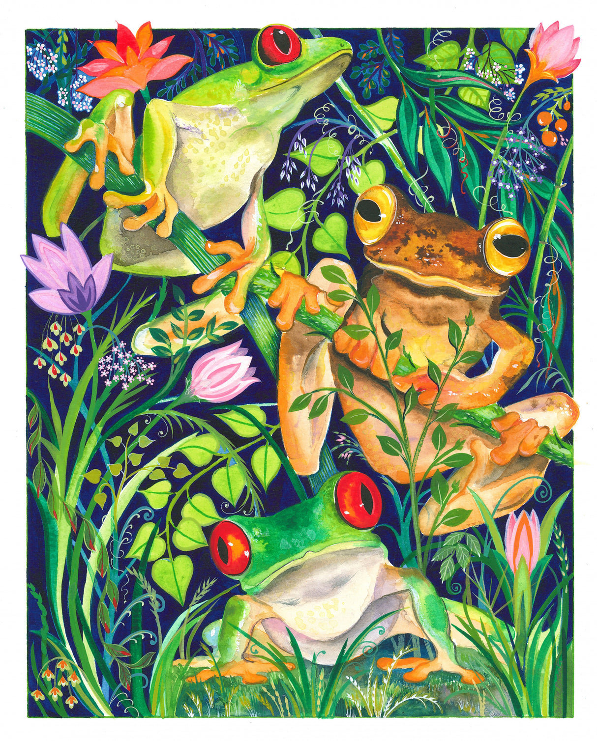 Rain Forest Frogs Poster och Canvastavla