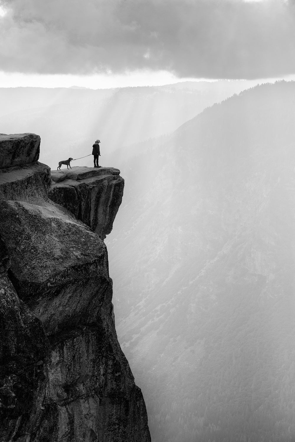 Woman and dog on cliff Poster och Canvastavla