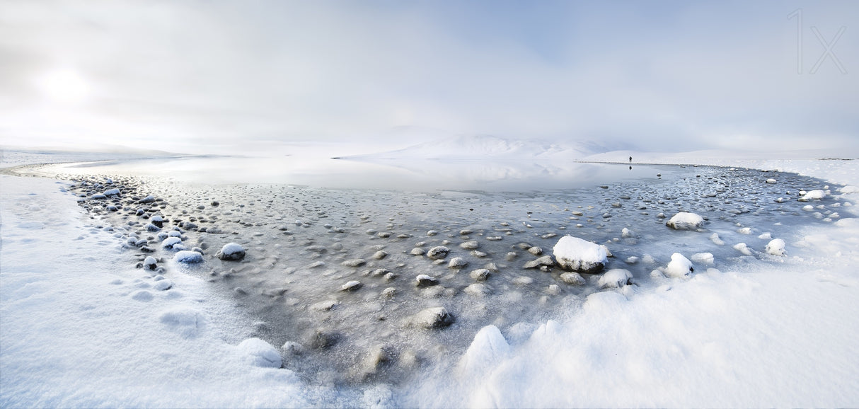 Alone in the silence Poster och Canvastavla