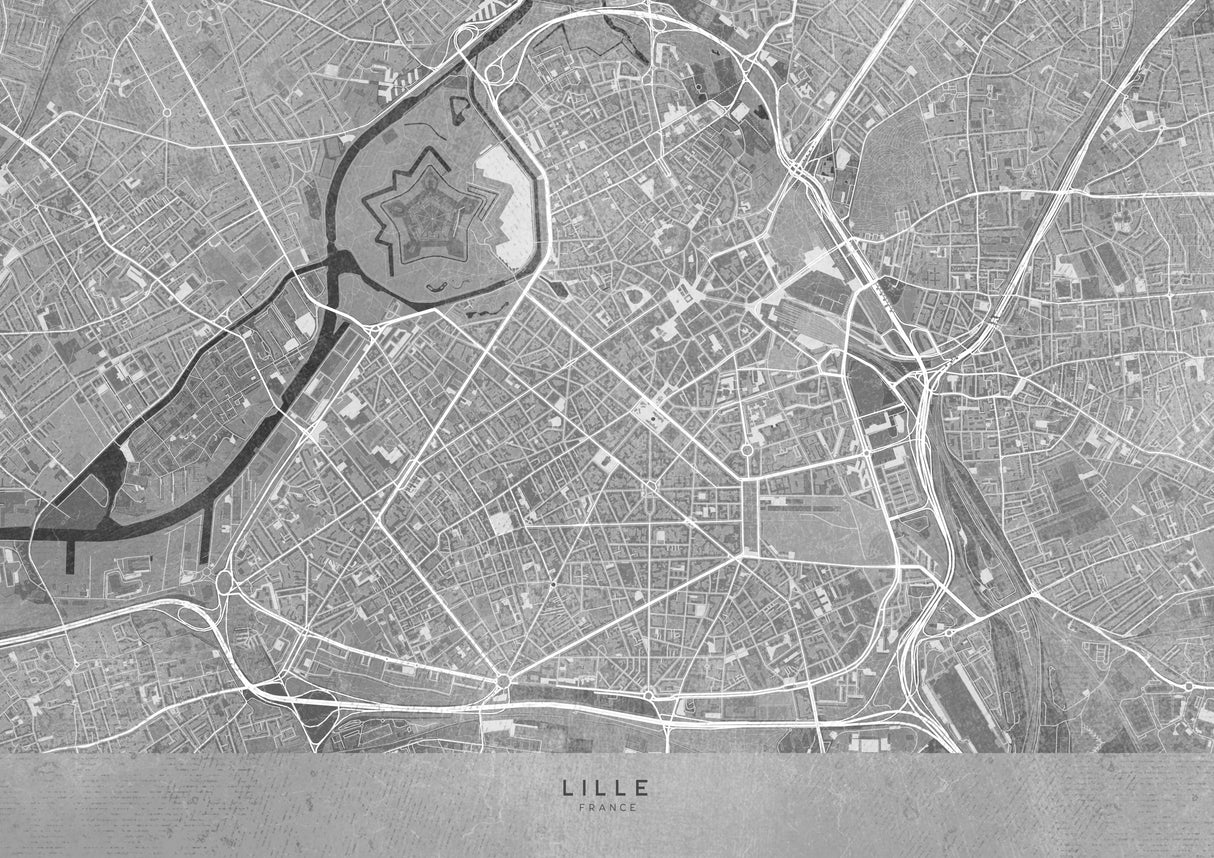 Gray vintage map of Lille downtown France Poster och Canvastavla