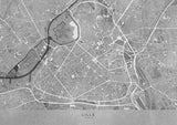 Gray vintage map of Lille downtown France Poster och Canvastavla