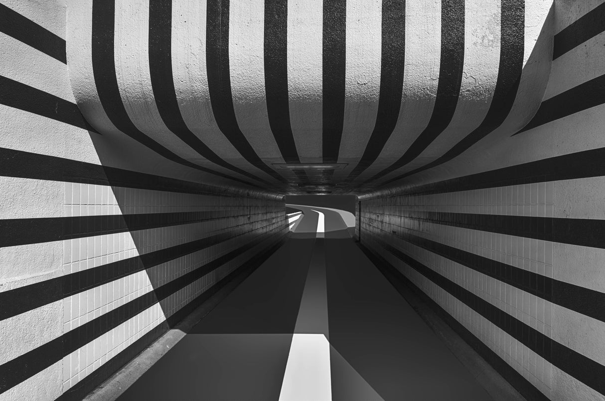 Follow the lines Poster och Canvastavla