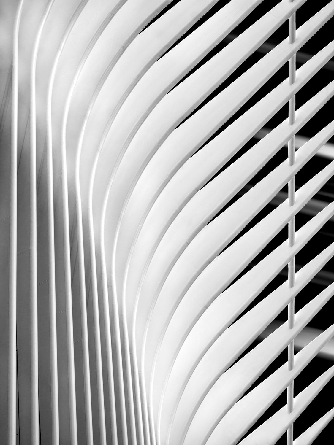 Stripes Poster och Canvastavla