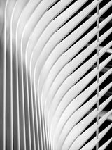 Stripes Poster och Canvastavla