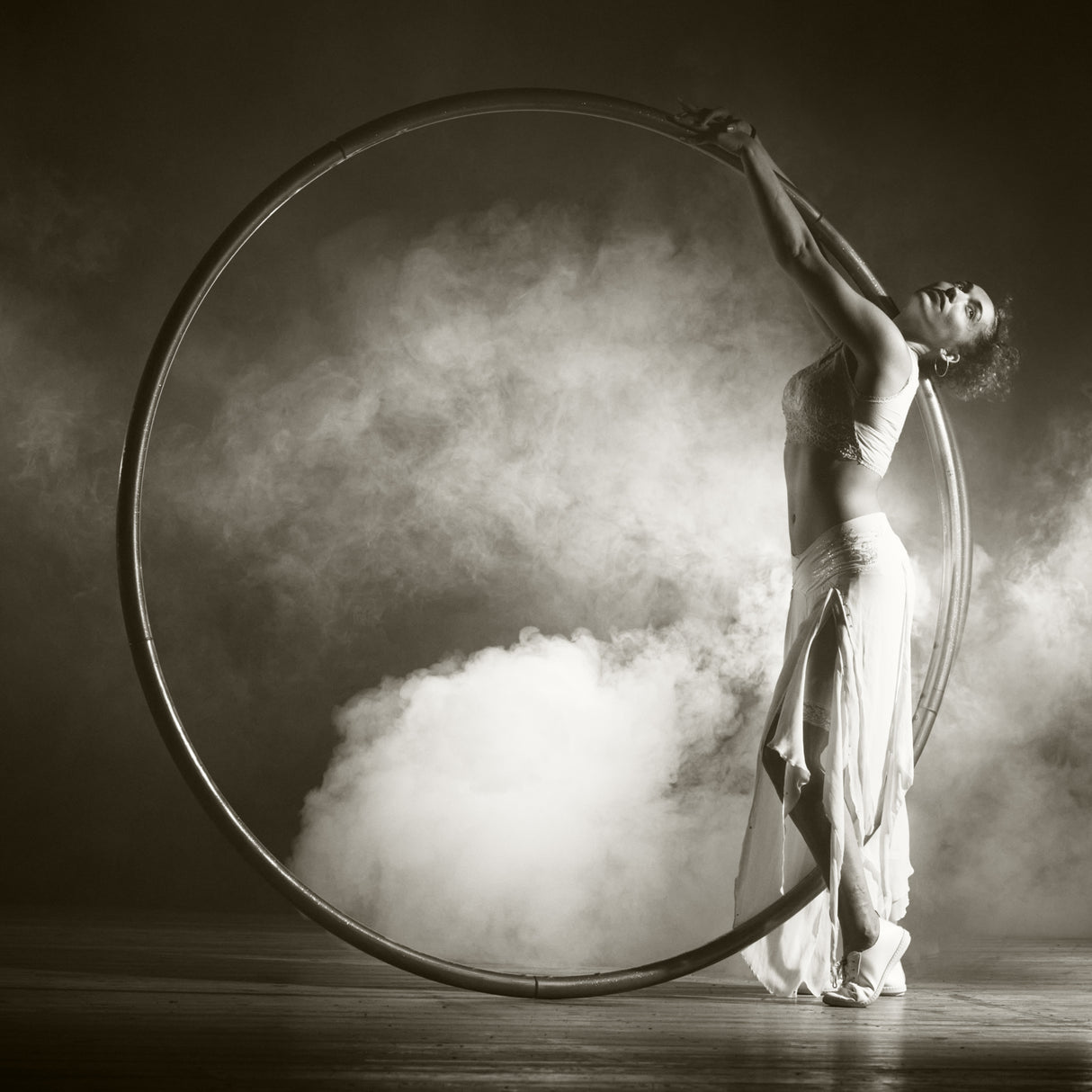 The hoop Poster och Canvastavla