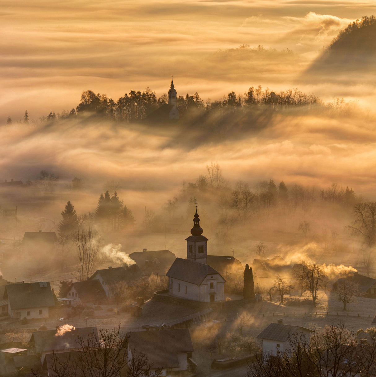 Misty morning Poster och Canvastavla