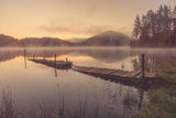 In the morning Poster och Canvastavla