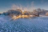 The Morning Glow Poster och Canvastavla