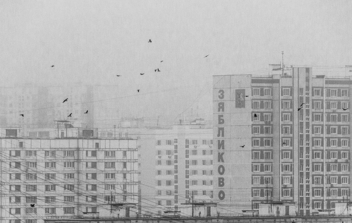 Fog over the city outskirts Poster och Canvastavla