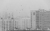 Fog over the city outskirts Poster och Canvastavla