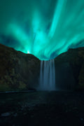 Skógafoss Poster och Canvastavla