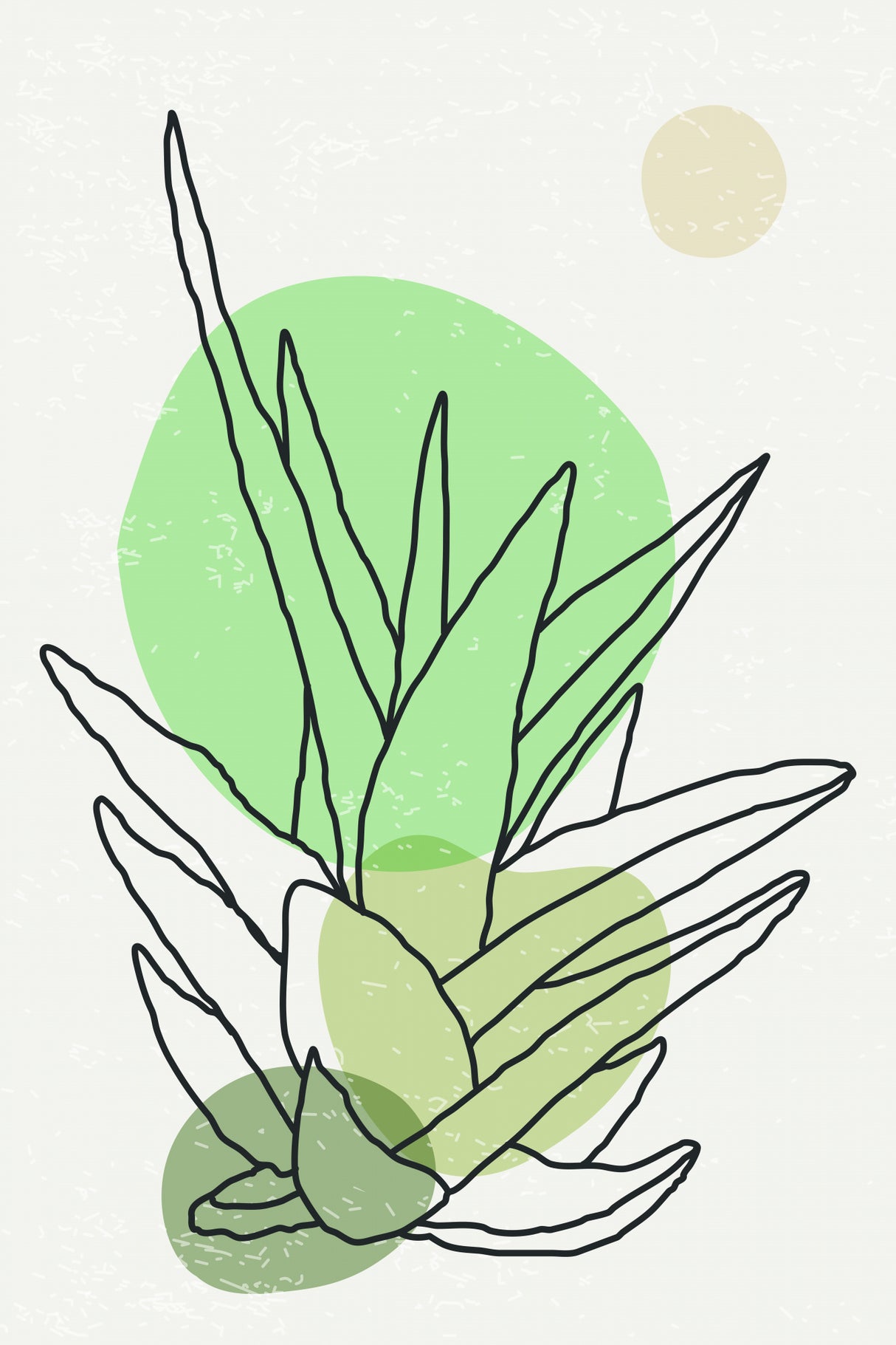 Color Abstract Agave #3 Poster och Canvastavla