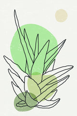 Color Abstract Agave #3 Poster och Canvastavla