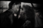 Shadows ( the kiss ) Poster och Canvastavla
