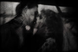 Shadows ( the kiss ) Poster och Canvastavla