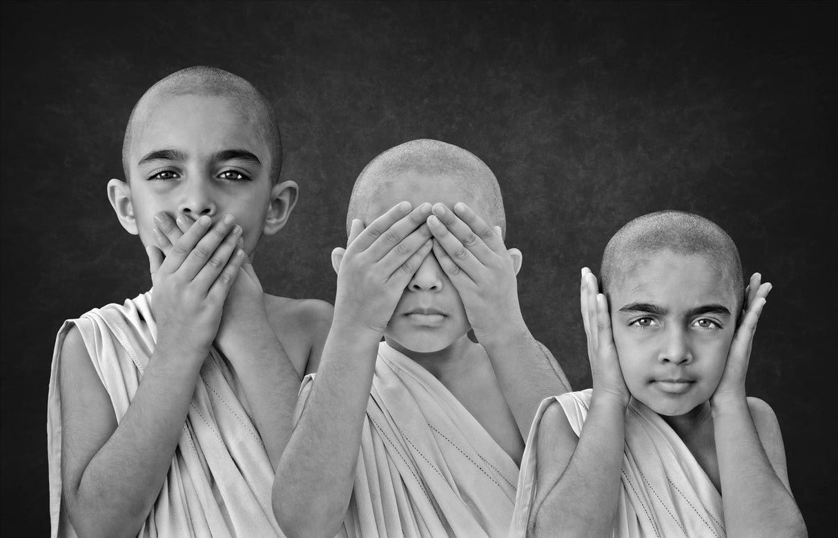Speak, See, Hear   No Evil Poster och Canvastavla