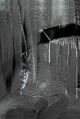Window washer Poster och Canvastavla