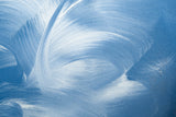 Acrylic Waves No 2 Poster och Canvastavla