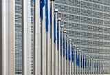 Flag parade Poster och Canvastavla