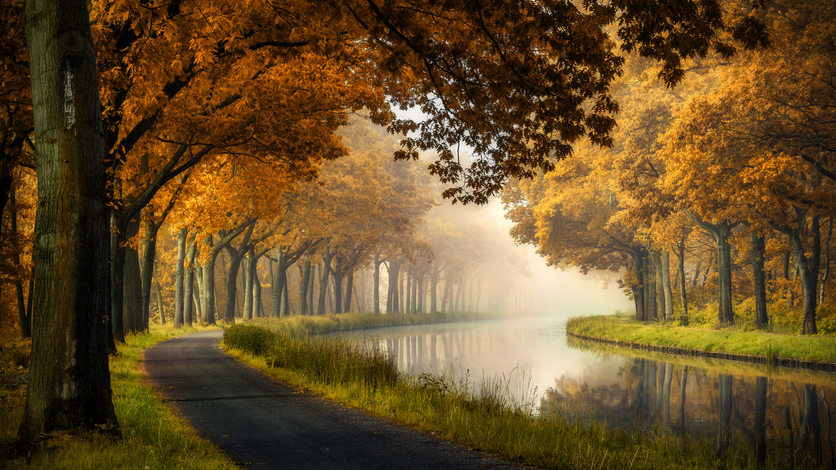 A calm morning Poster och Canvastavla