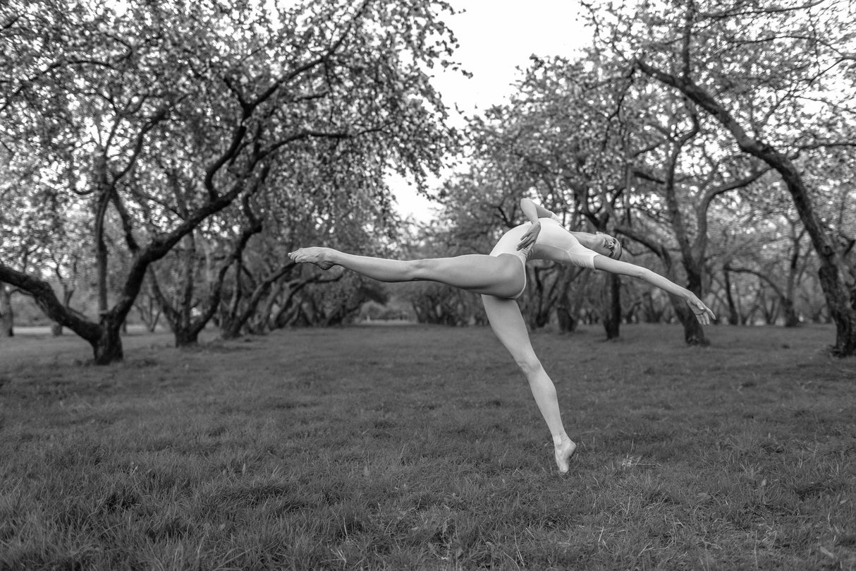 Dancer in the park Poster och Canvastavla