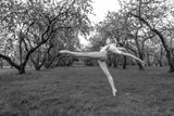 Dancer in the park Poster och Canvastavla
