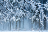 Snowworld Poster och Canvastavla