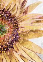 Golden sunflower Poster och Canvastavla
