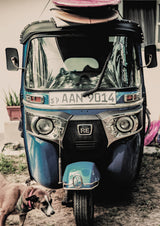 Self Drive Poster och Canvastavla