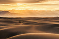 Golden Rays over Sand Dunes Poster och Canvastavla