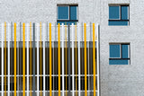Laths and windows Poster och Canvastavla