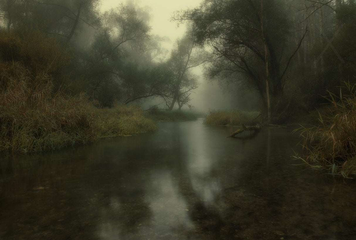 early fall &amp; silence Poster och Canvastavla