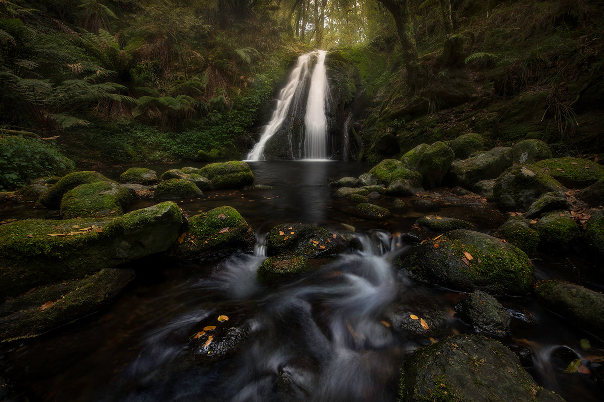 A Graceful Waterfall Poster och Canvastavla