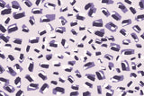 Scattered Small Purple Strokes Pattern Poster och Canvastavla
