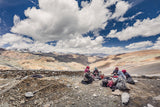 Resting at 5.000 mt o.s.l. Poster och Canvastavla