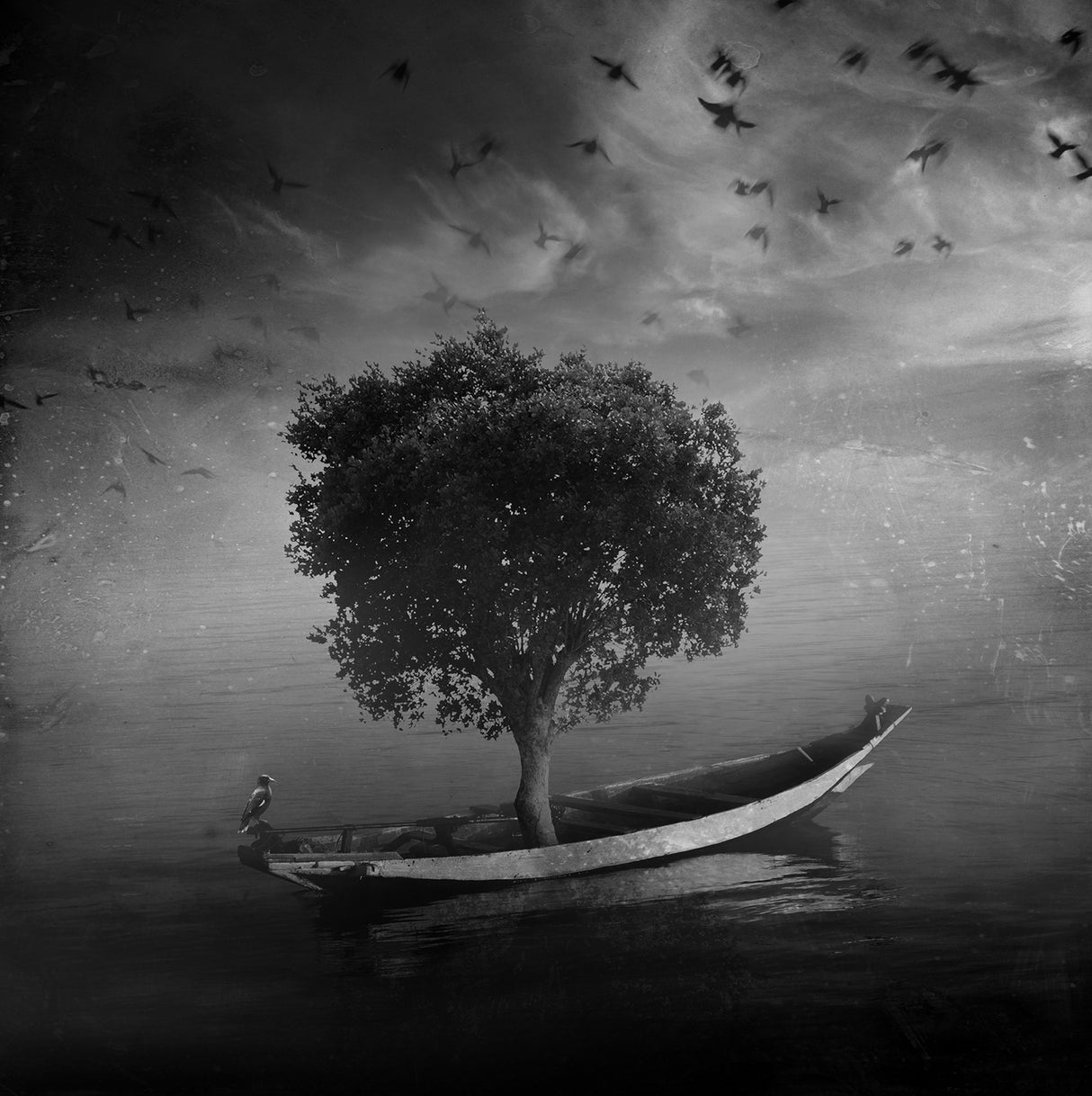 the silent lake story Poster och Canvastavla