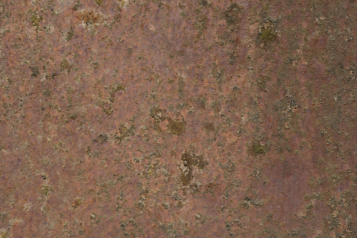 Rust 21 Poster och Canvastavla