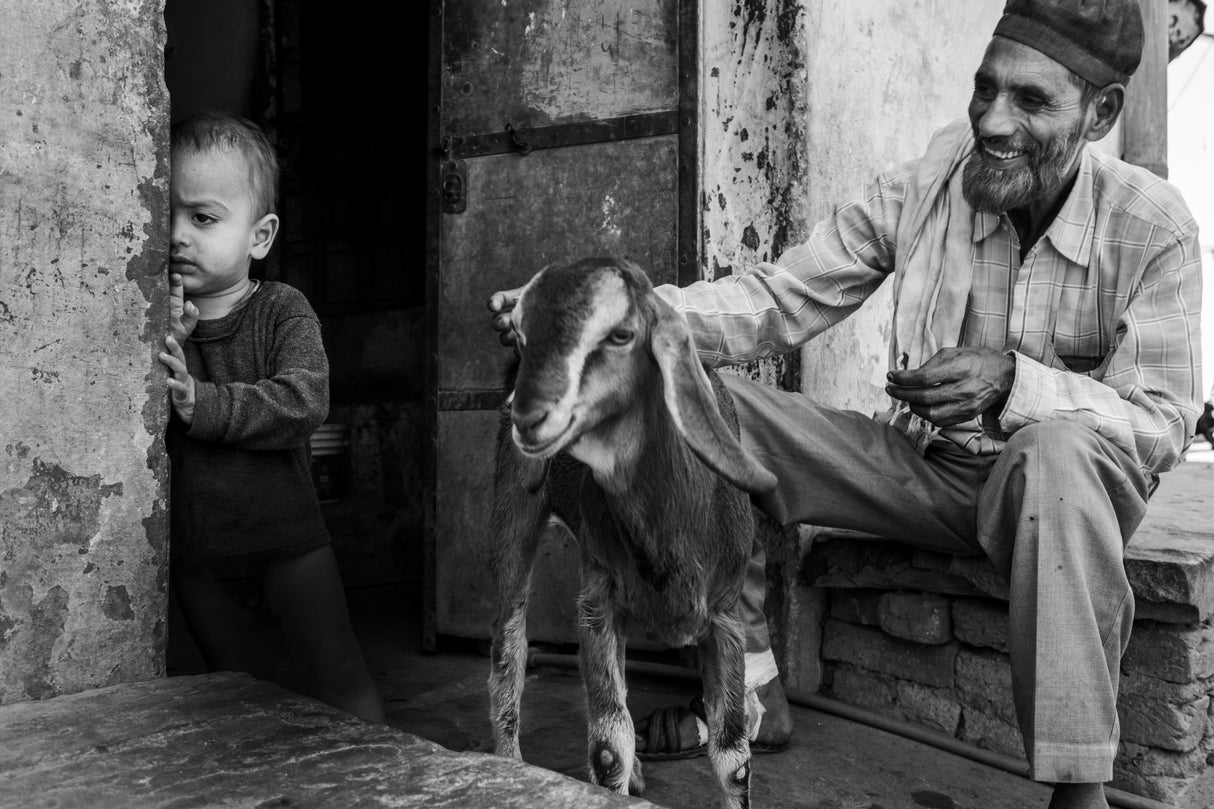 Bundi, India Poster och Canvastavla