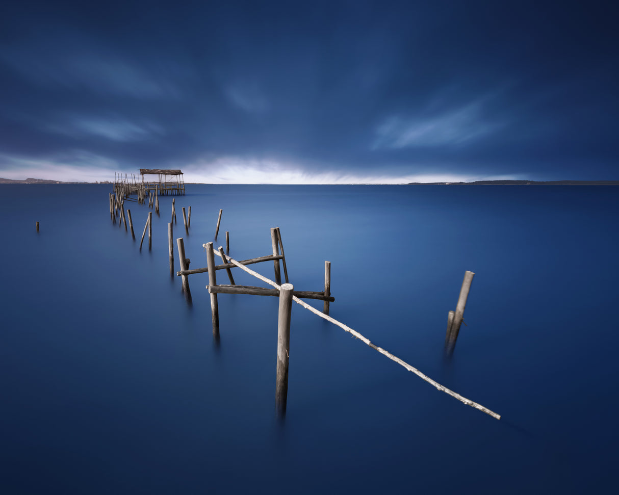 Carrasqueira azul Poster och Canvastavla