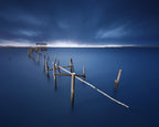 Carrasqueira azul Poster och Canvastavla