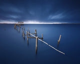 Carrasqueira azul Poster och Canvastavla