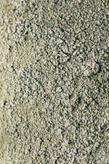 Moss Poster och Canvastavla