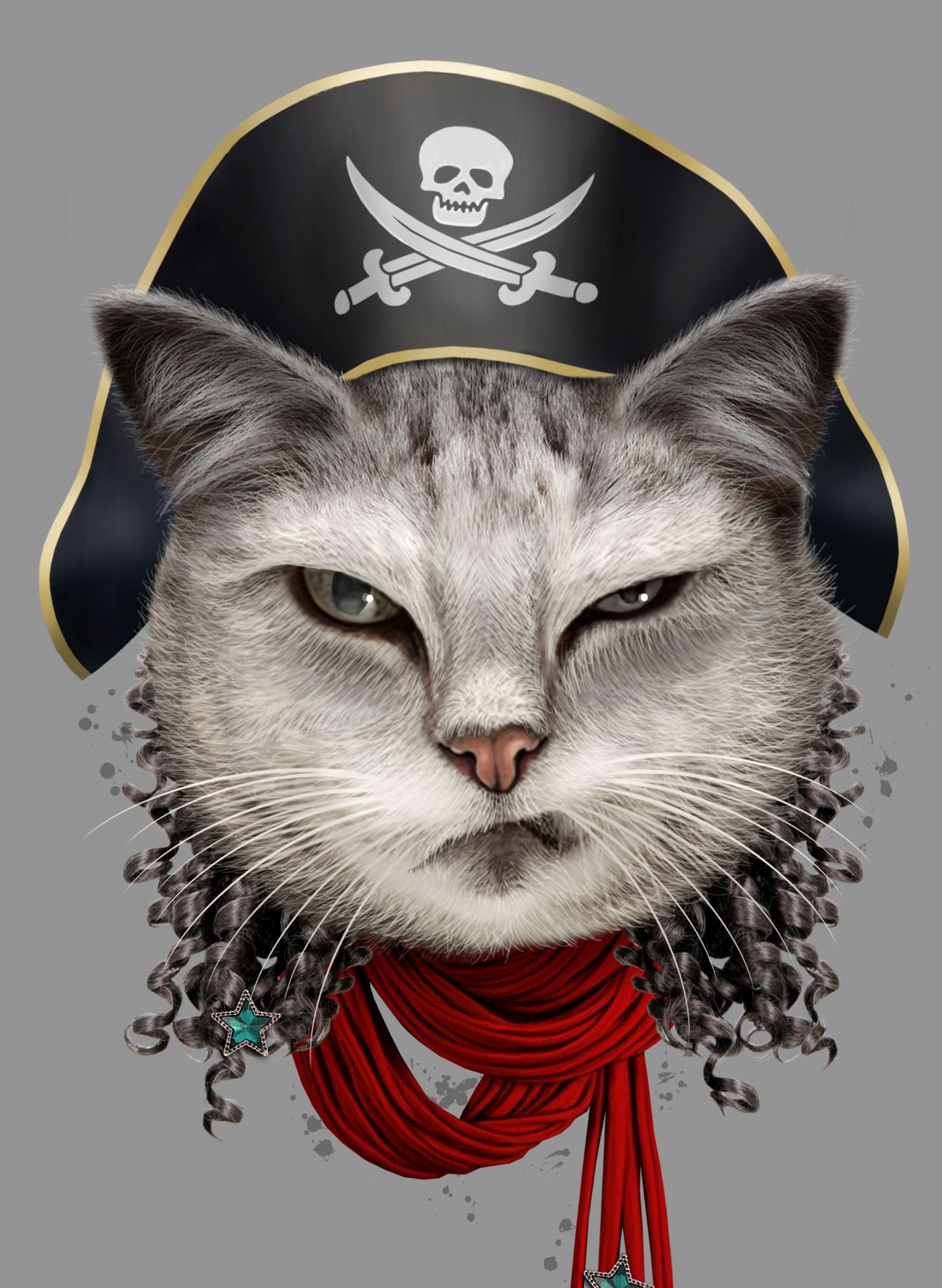 pirate Poster och Canvastavla